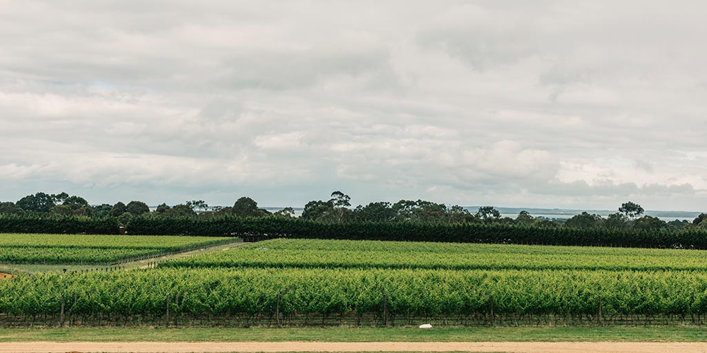 107032-ten-minutes-tractor-mornington-1024x512.jpg