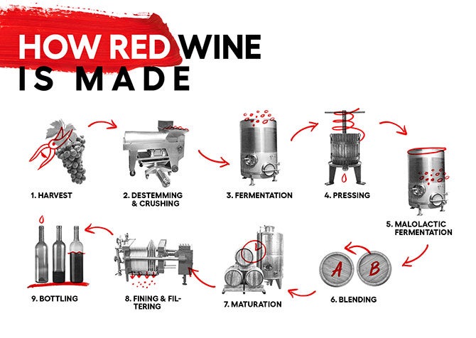 AWD_Social_Discover_01-HowRedWineIsMade_Website.jpg