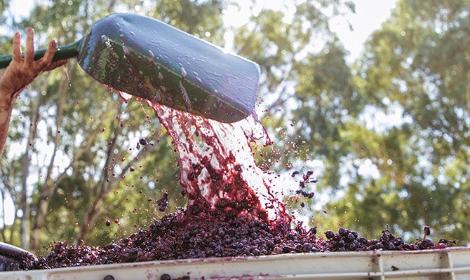 109251-bondar-wines-670x400.jpg