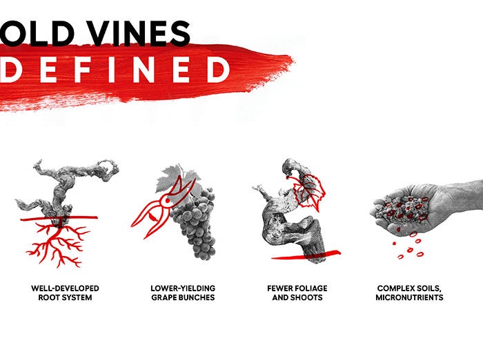 AWD_Social_Discover_10-DoOldVinesMakeBestWines_Website.jpg