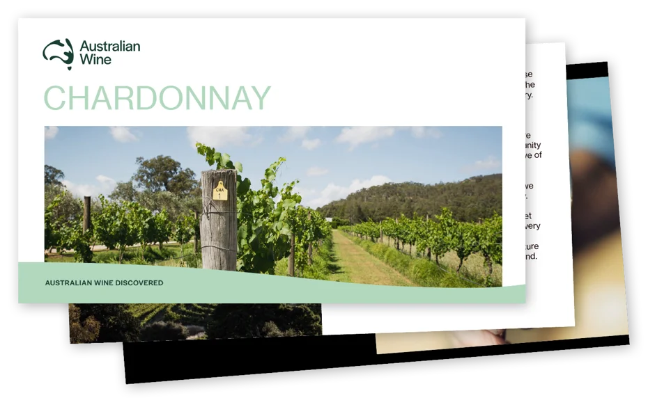 a photo of a vineyard