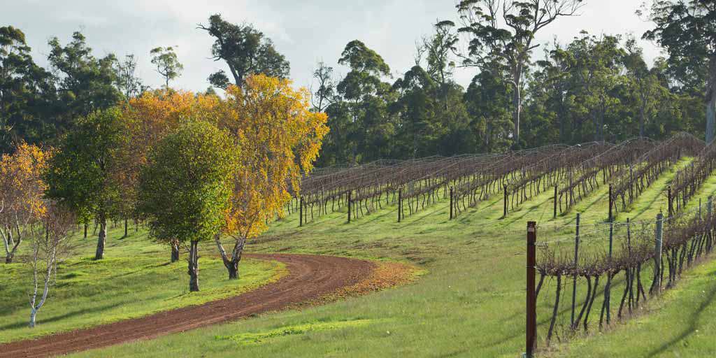 Manjimup: Discover wine trails less travelled
