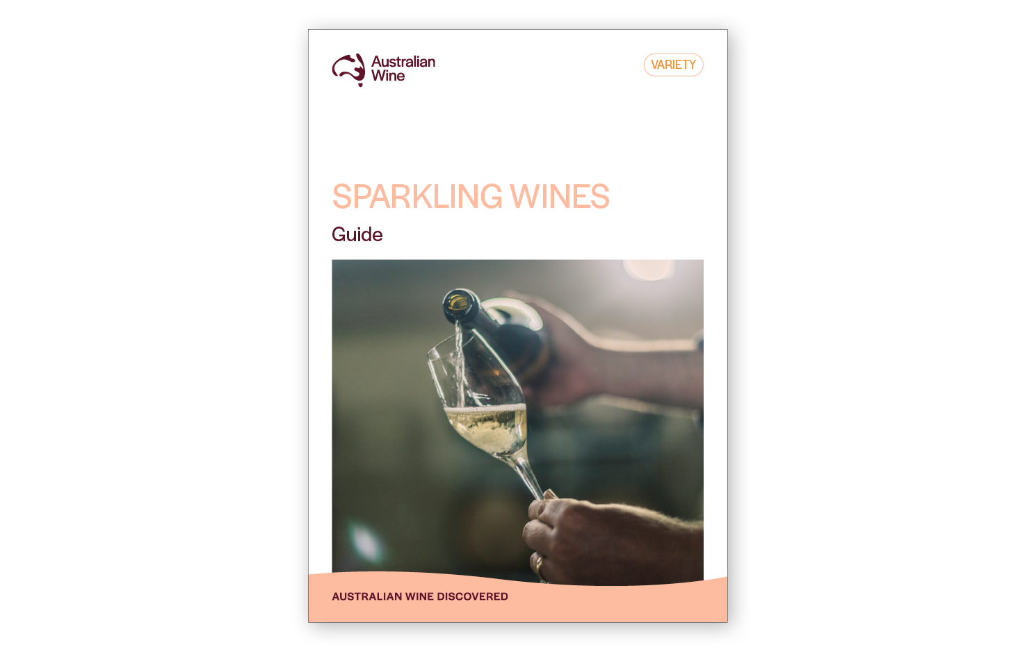 a person pouring wine into a glass
