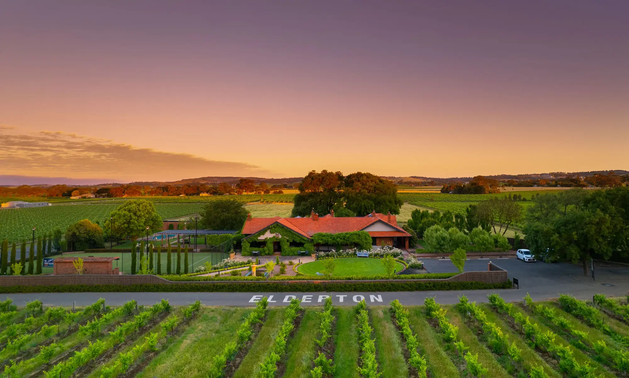 a house with a vineyard and a road