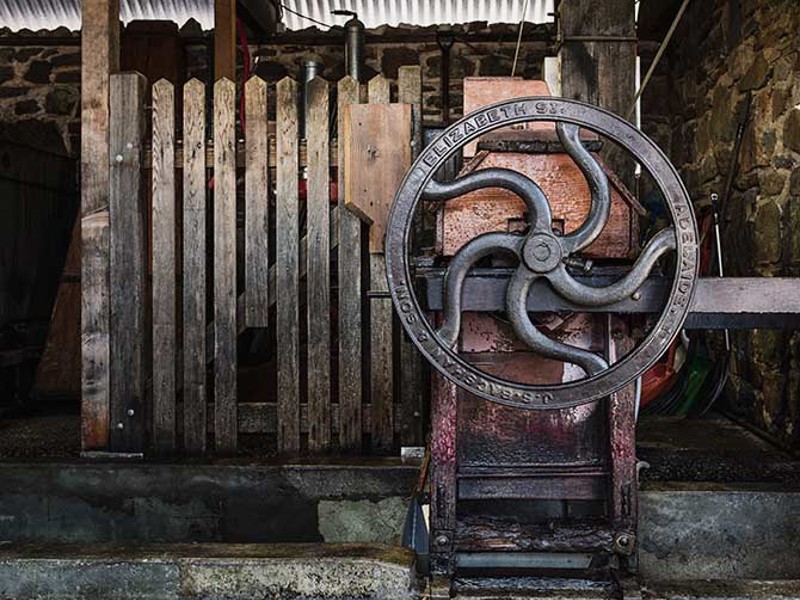 Vintage wine press wheel