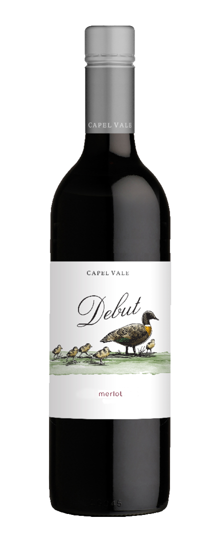 Debut Merlot   2020