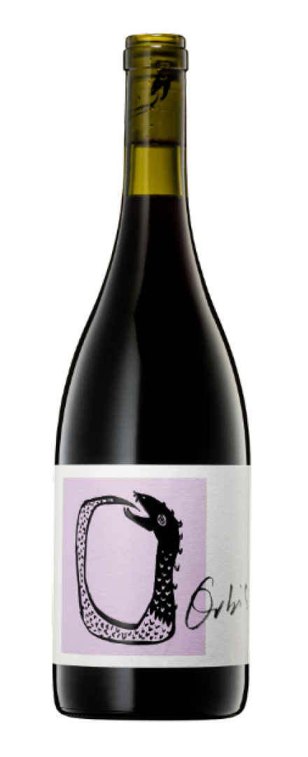 Block 4 Shiraz   2024