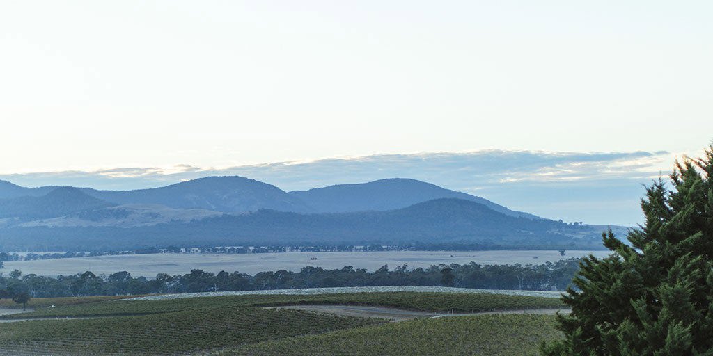 Pyrenees: Rich reds on the rugged wine trail