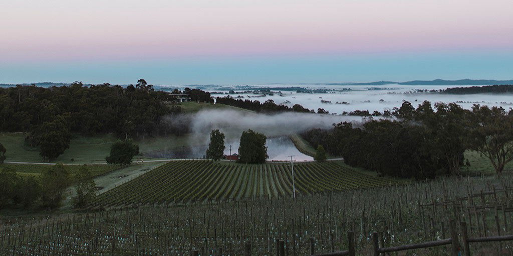 The ultimate guide to Victoria’s wine regions