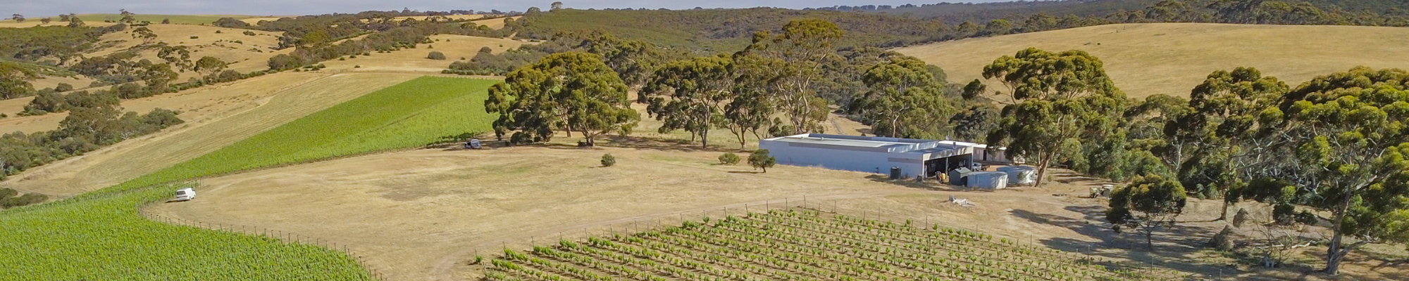 a field of trees and a building