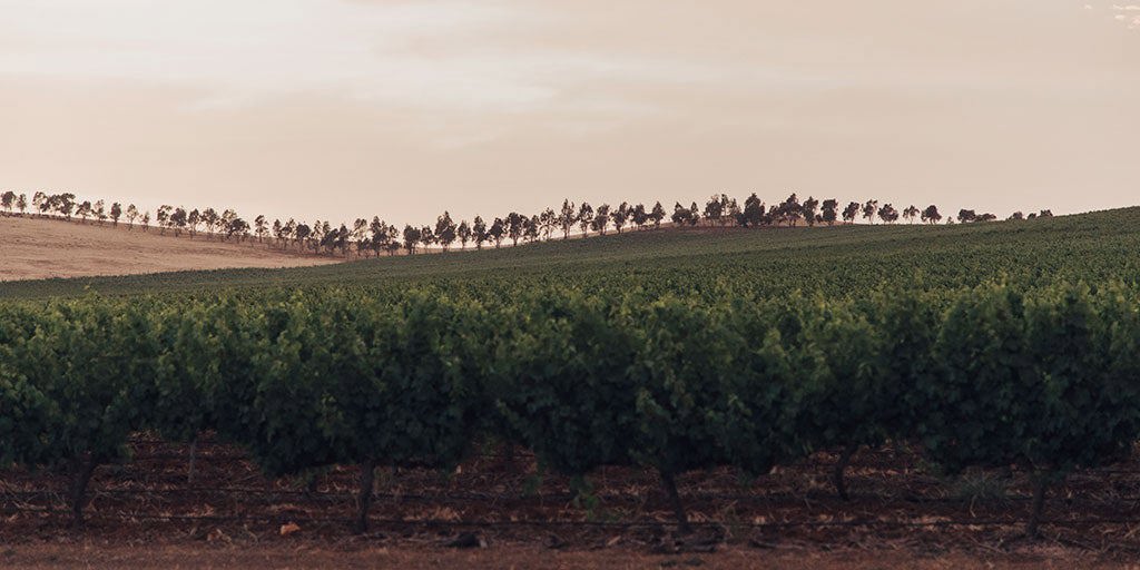 Clare Valley