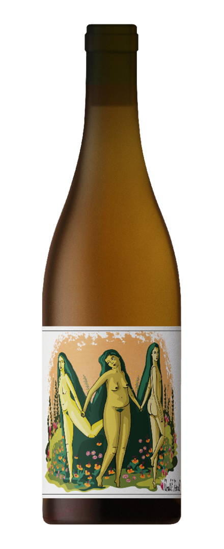 SC Pinot Gris   2021