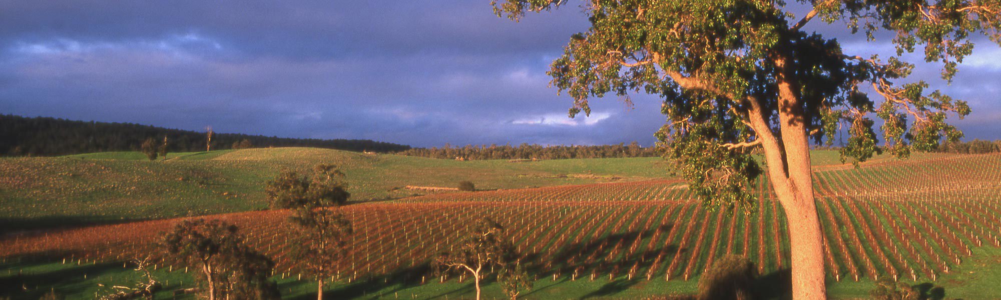 Geographe wine region Australia