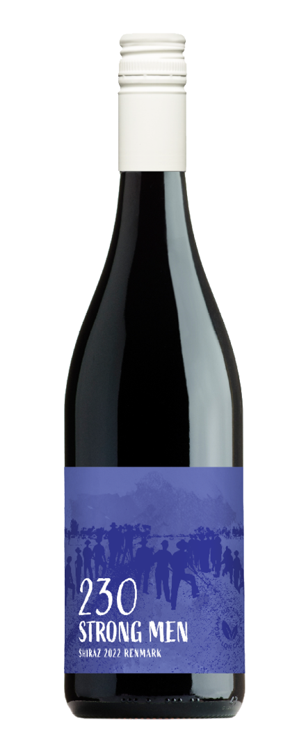 Shiraz   2022