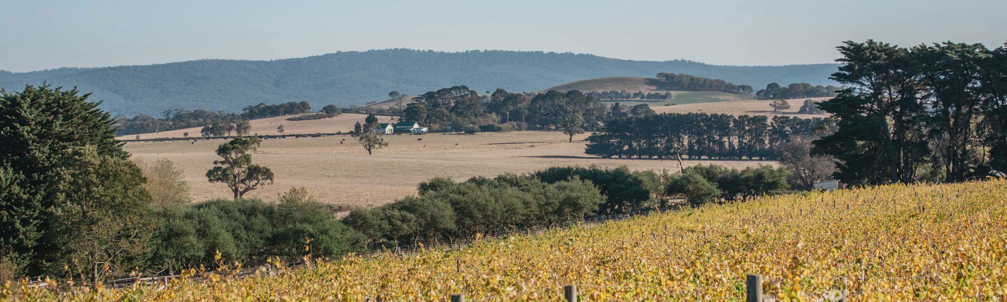 Macedon Ranges Red Macedon Ranges wine region | Australian Wine