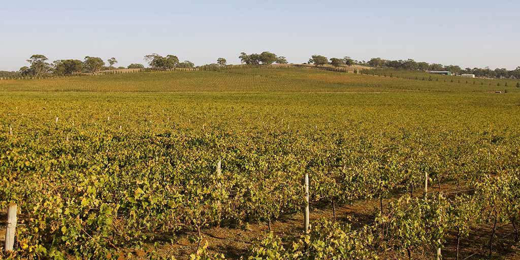 Heathcote: Idyllic region on the rise