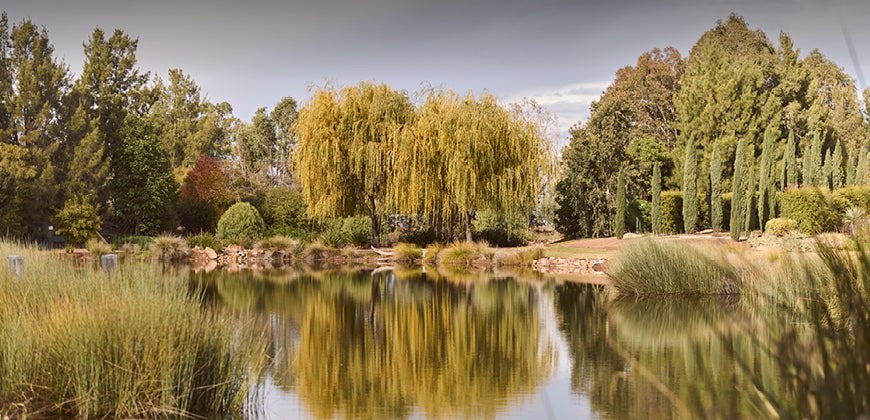 Pinot Grigio/Gris: An Australian Inversion on Tradition