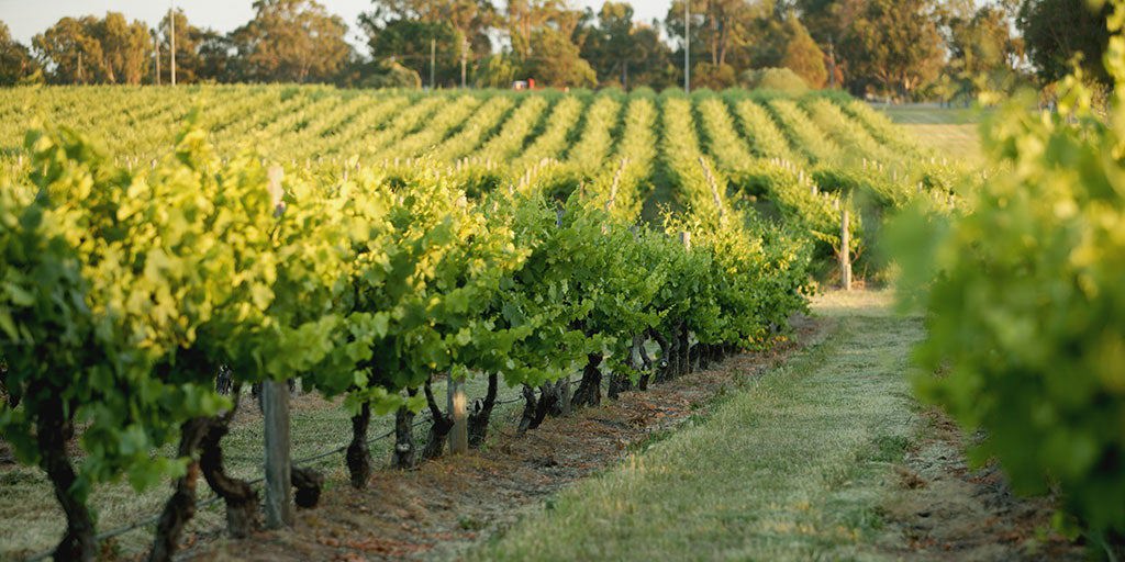 Swan District: A new era for an old region