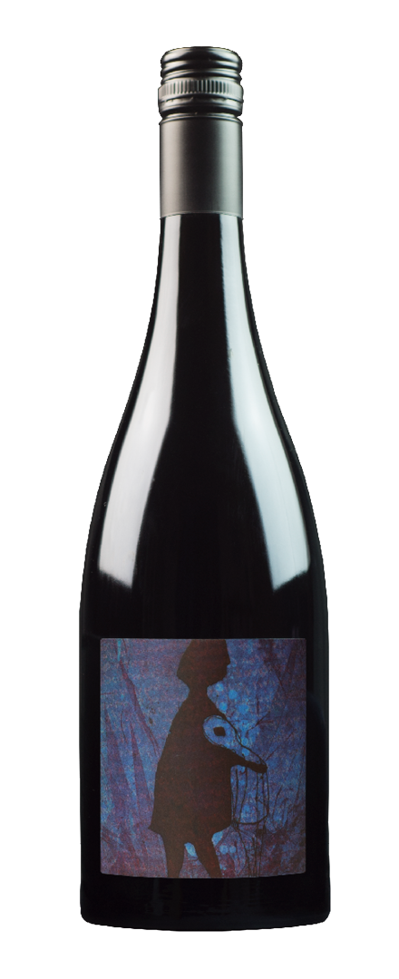 Pinot Noir   2024