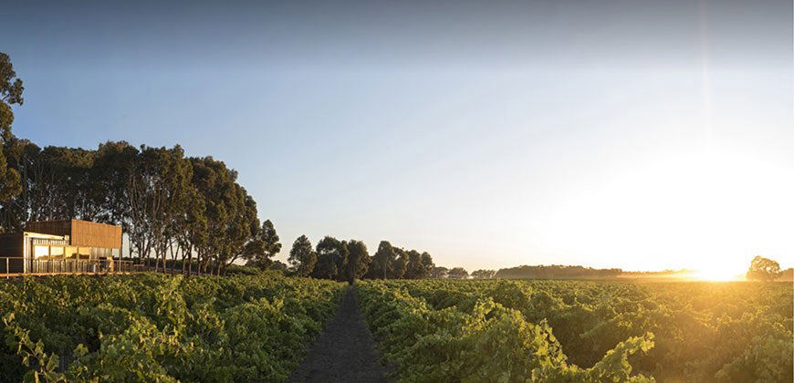 Australia: A Third Home for Malbec