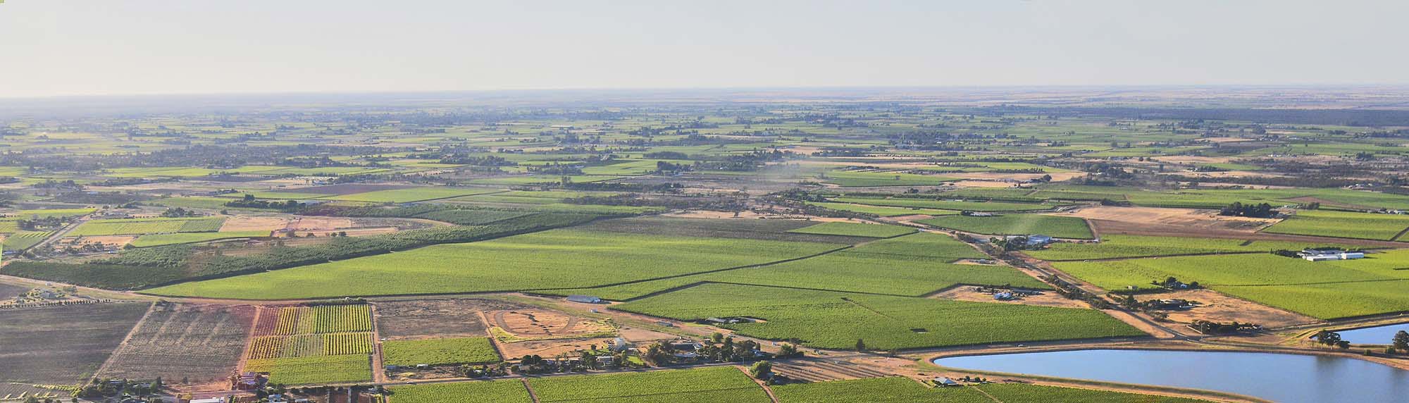 Map highlighting the Murray Darling wine region
