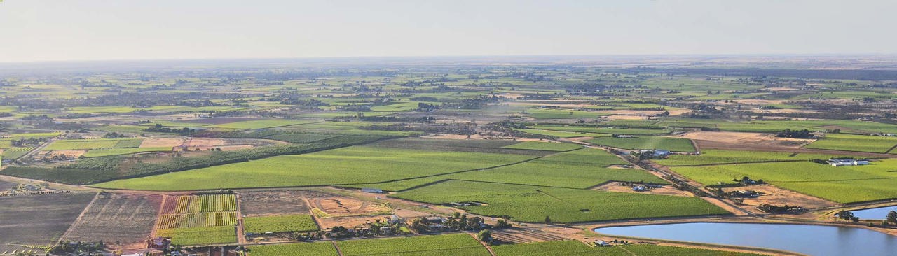 Map highlighting the Murray Darling wine region