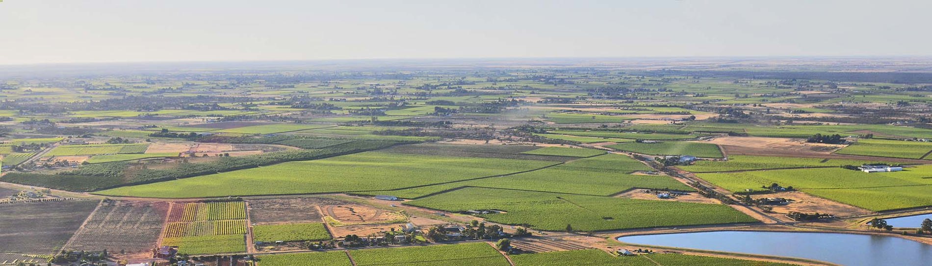 Murray River Wine Region Aerial