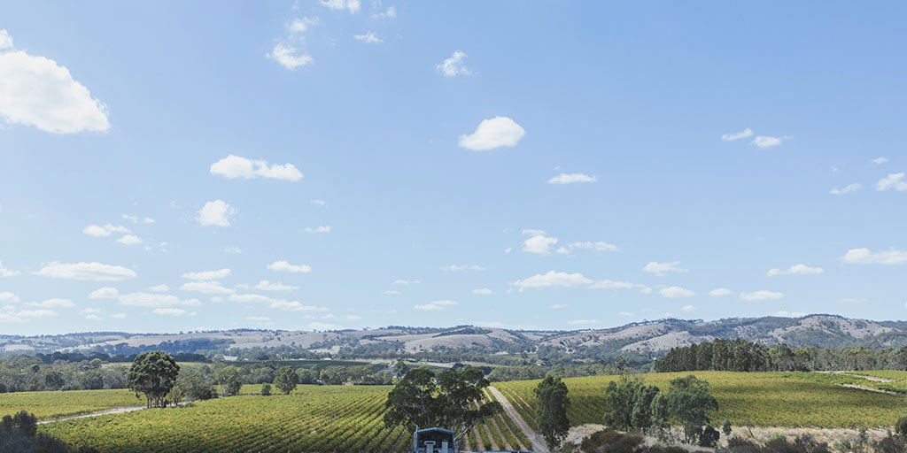 McLaren Vale