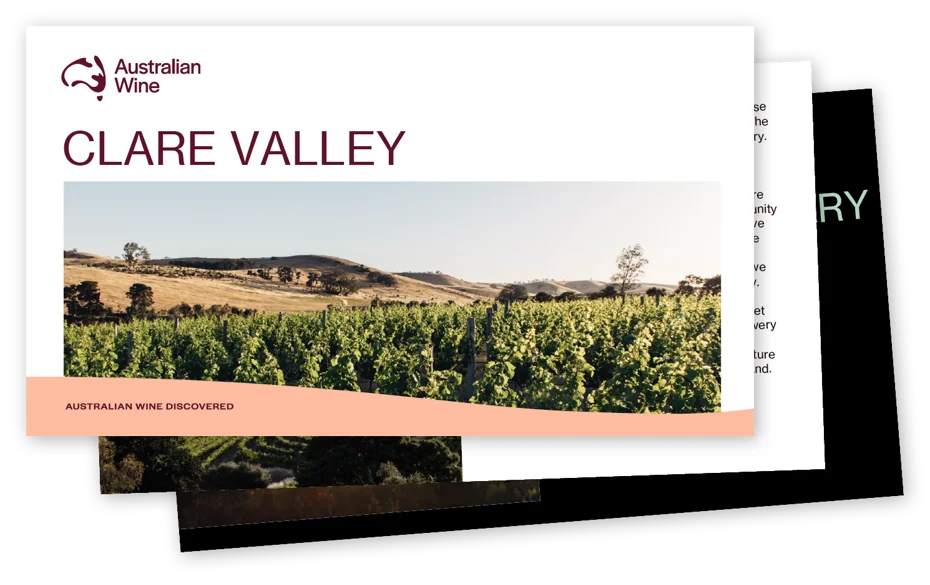 a screenshot of a vineyard