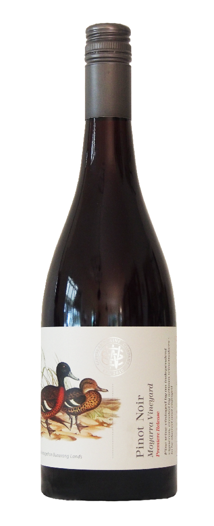 Pinot Noir   2024