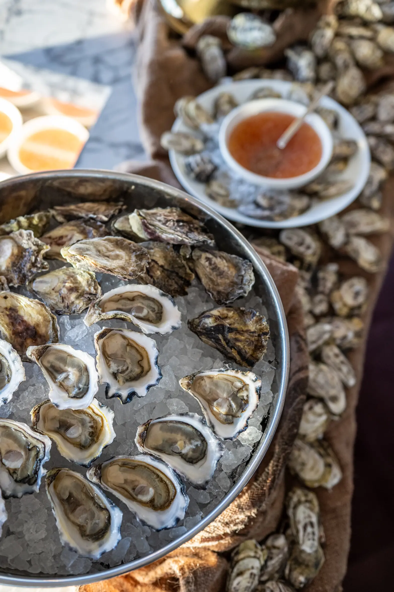 Oysters at Infinity Media Launch