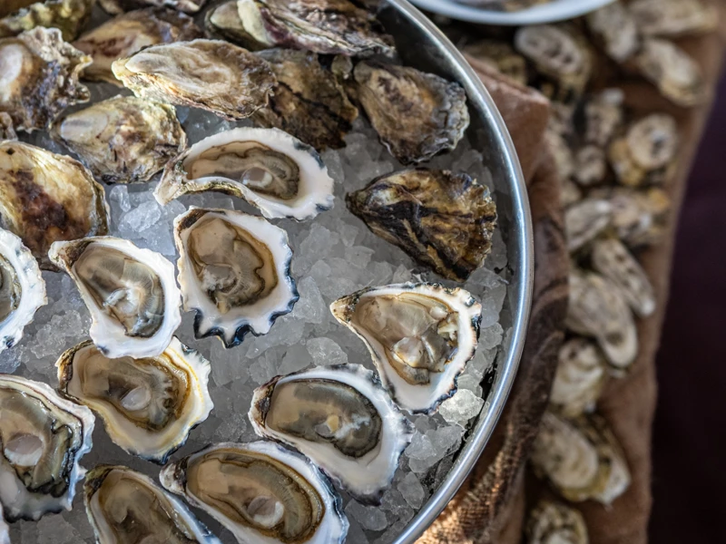 Oysters at Infinity Media Launch