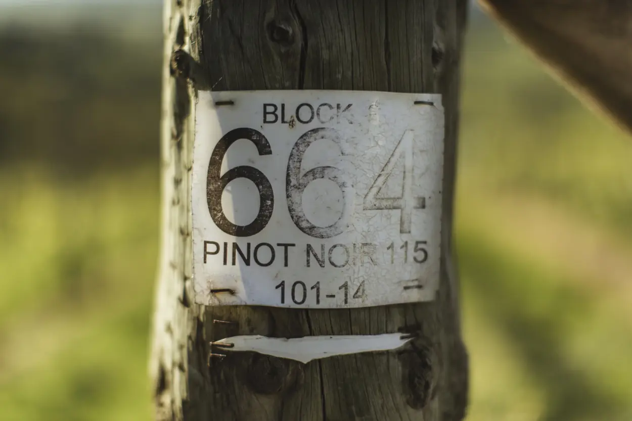 a sign on a wooden pole