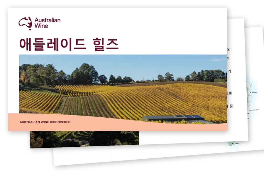 a field of yellow plants
