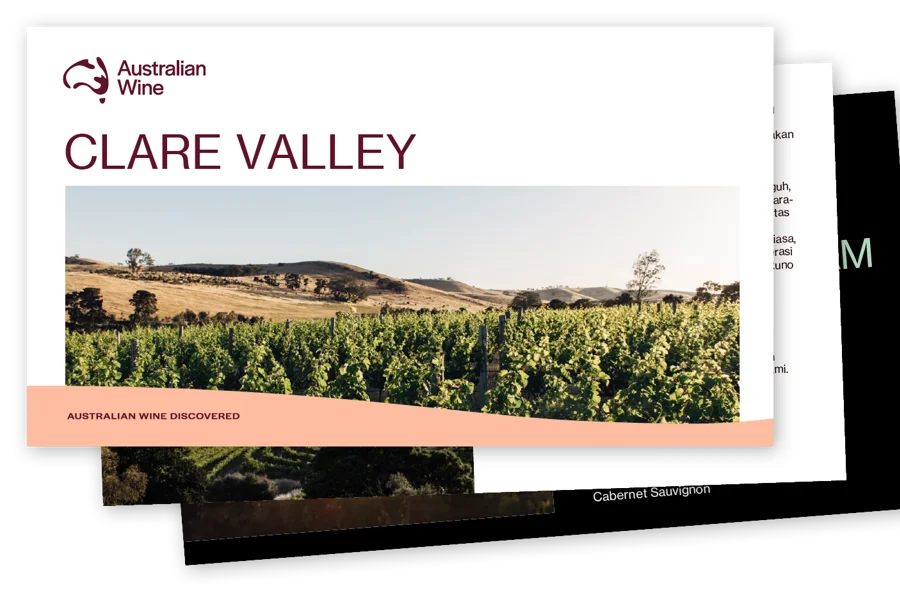 a screenshot of a vineyard