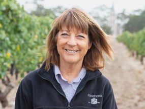 Prue Henschke, Hill of Grace vineyard