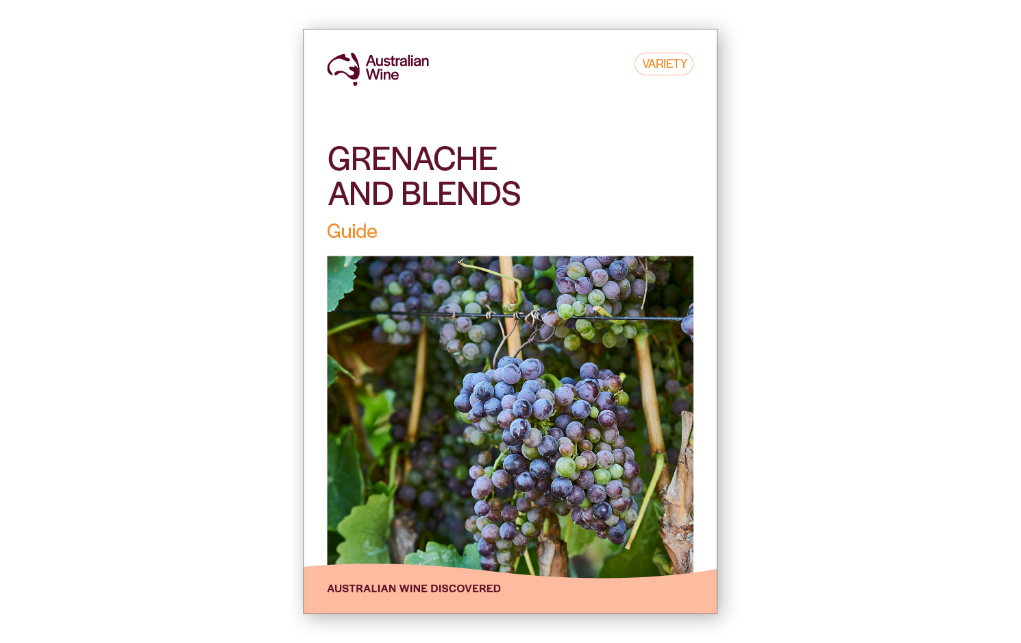 a book cover with grapes on a vine