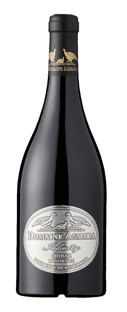 Infinity Shiraz   2019