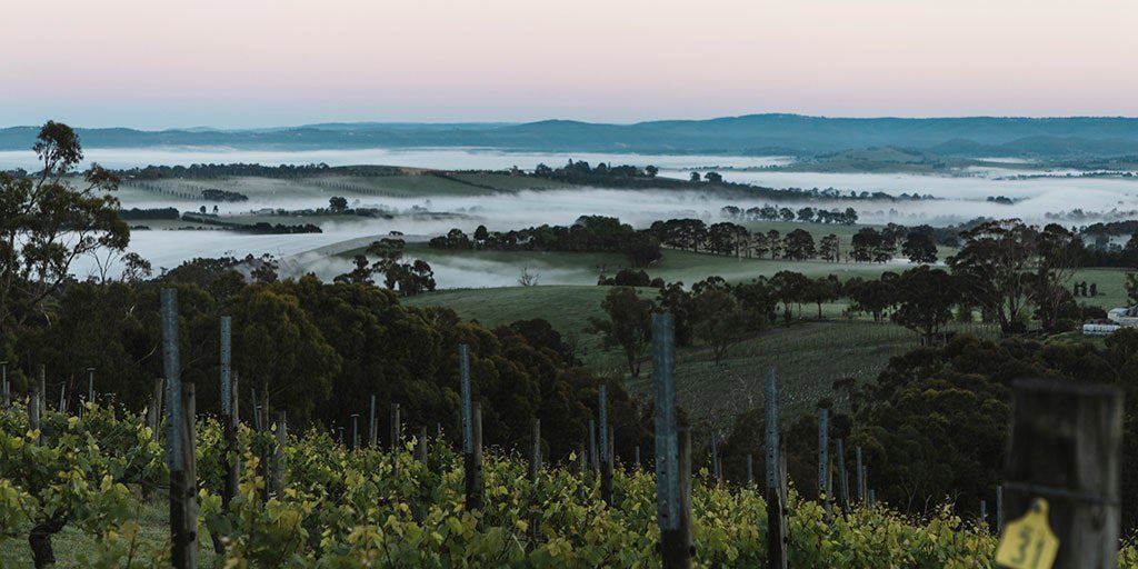Australia’s 8 most popular wine regions