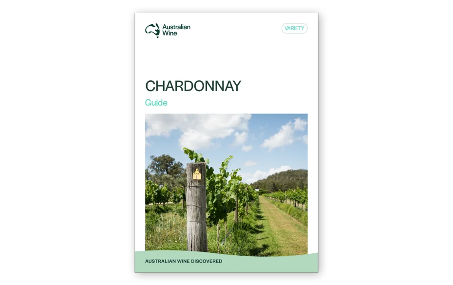 a guide to wine growing