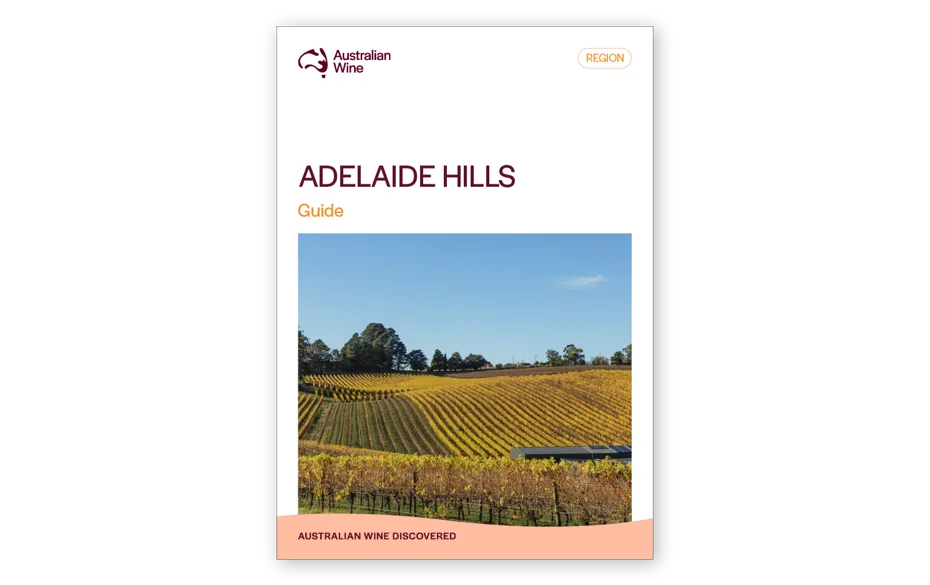 a book cover with a vineyard