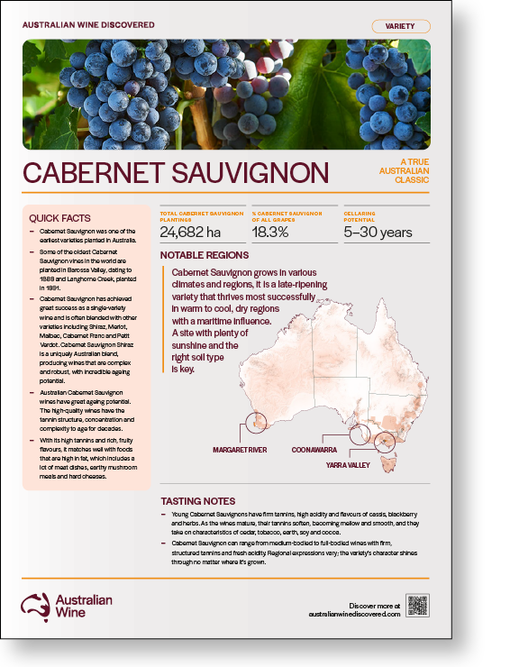 Cabernet Sauvignon A4 Fact Sheet