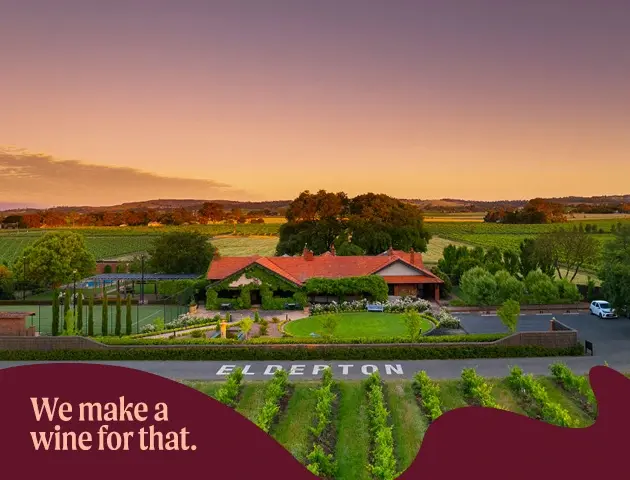 a house in a vineyard