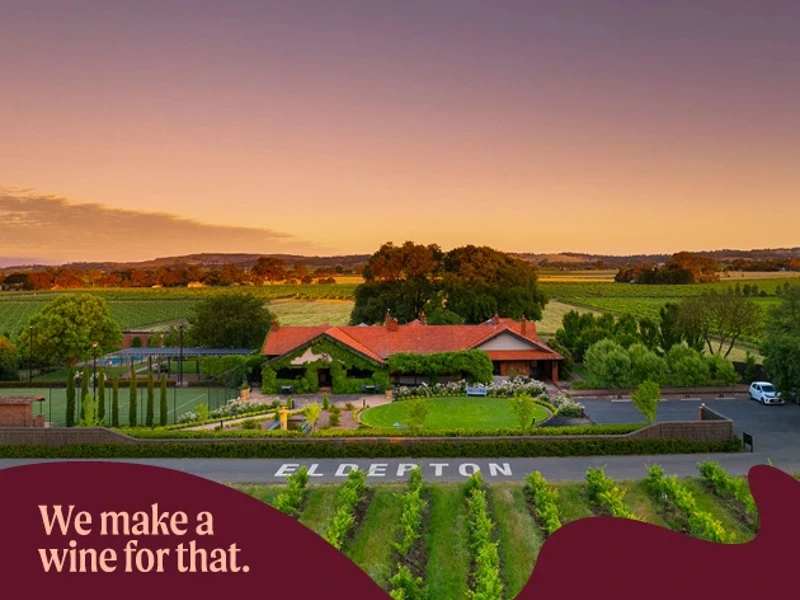a house in a vineyard