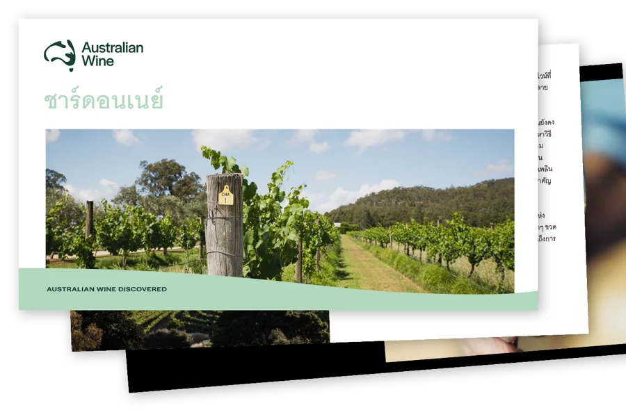 a wooden post in a vineyard