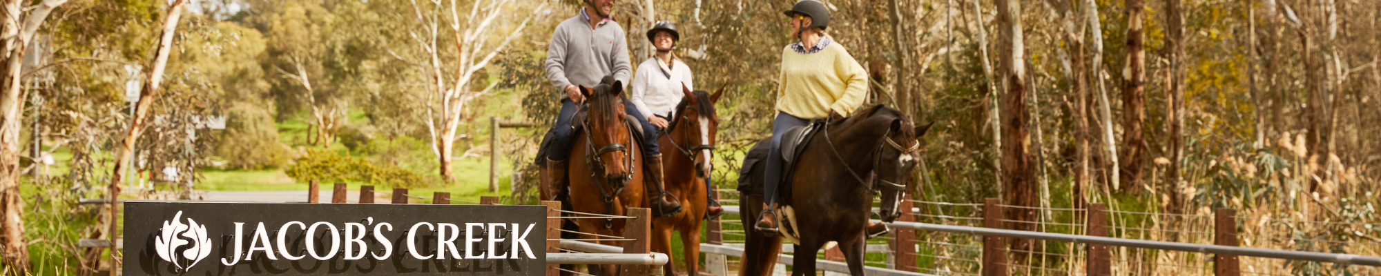 a group of people riding horses