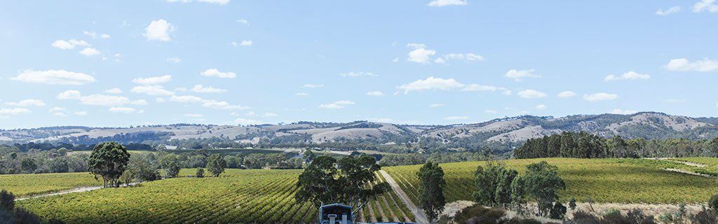 McLaren Vale: Historic region of rule breakers