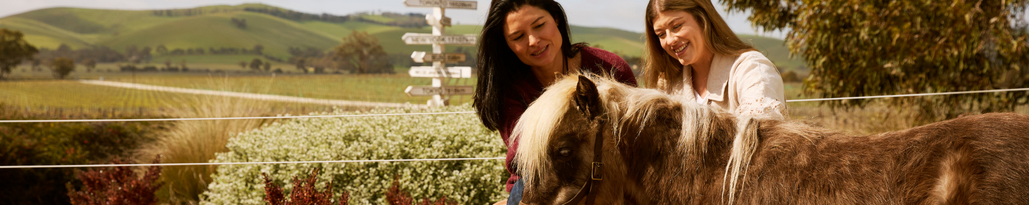 a woman sitting on a horse