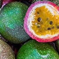 Passionfruit