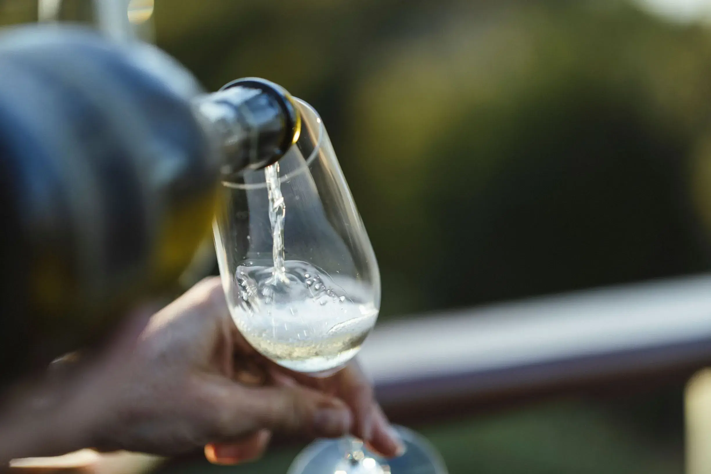 108863 Sparkling wine Tamar Ridge Tasmania